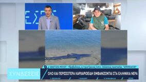 Όλο και περισσότερα καρχαριοειδή εμφανίζονται στα ελληνικά νερά